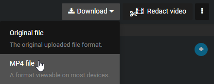 The download file menu with the MP4 file format option highlighted.